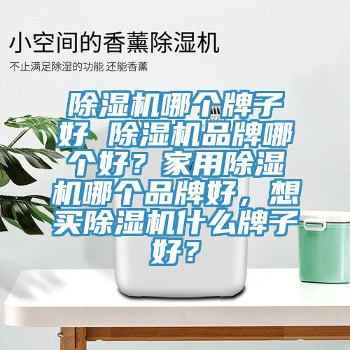 除濕機(jī)哪個(gè)牌子好 除濕機(jī)品牌哪個(gè)好？家用除濕機(jī)哪個(gè)品牌好，想買除濕機(jī)什么牌子好？