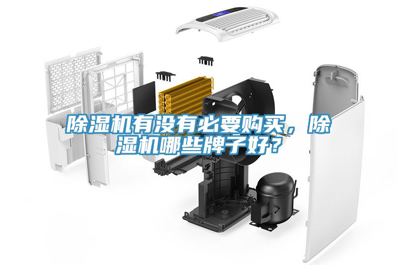 除濕機(jī)有沒有必要購買，除濕機(jī)哪些牌子好？