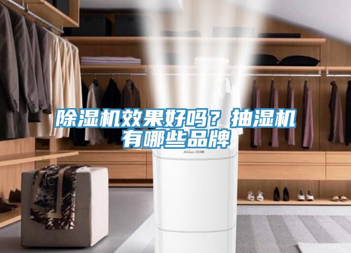 除濕機(jī)效果好嗎？抽濕機(jī)有哪些品牌