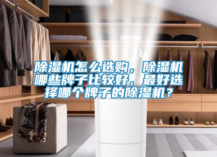 除濕機怎么選購，除濕機哪些牌子比較好，最好選擇哪個牌子的除濕機？