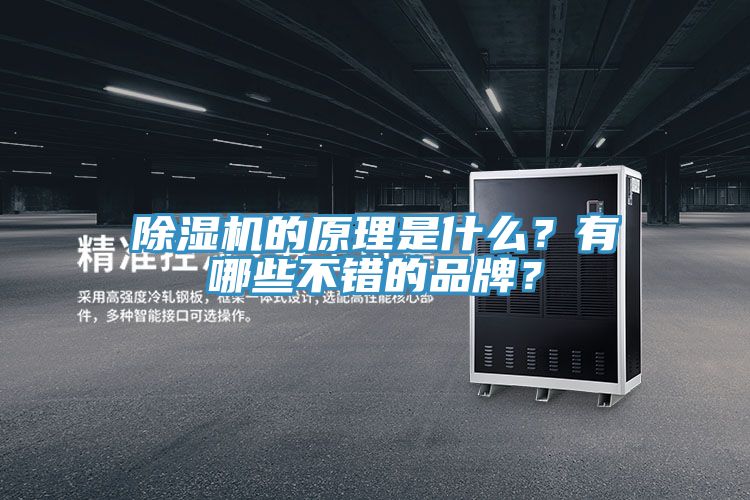 除濕機的原理是什么？有哪些不錯的品牌？