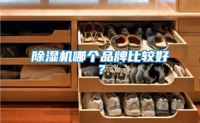 除濕機(jī)哪個(gè)品牌比較好？