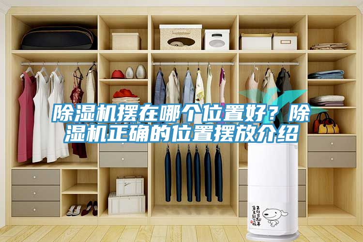 除濕機擺在哪個位置好？除濕機正確的位置擺放介紹