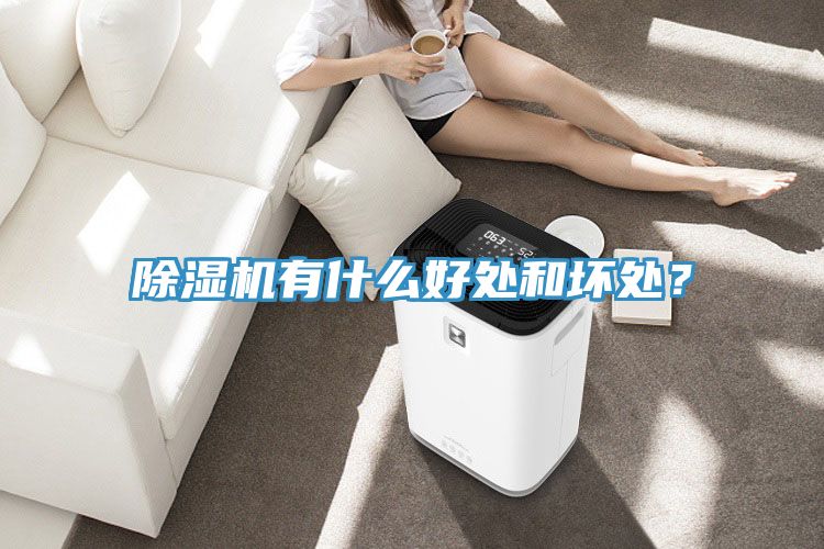 除濕機(jī)有什么好處和壞處？