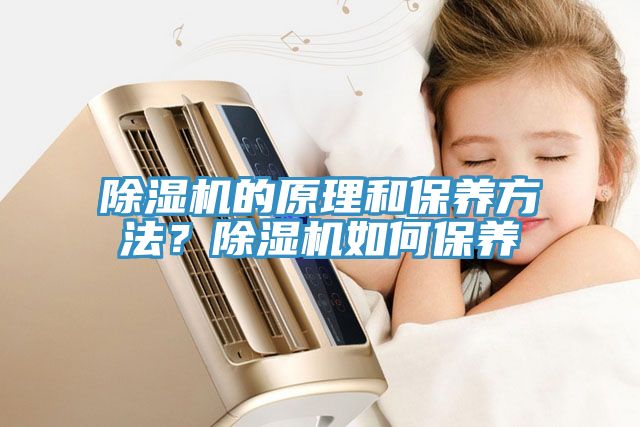 除濕機的原理和保養(yǎng)方法？除濕機如何保養(yǎng)