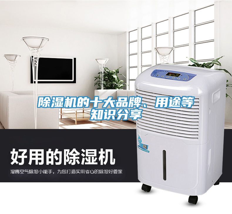 除濕機的十大品牌、用途等知識分享