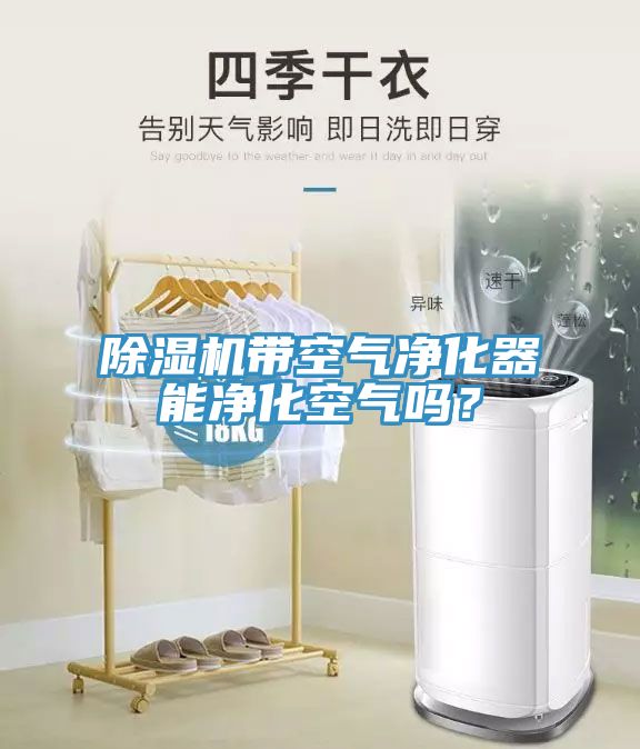 除濕機(jī)帶空氣凈化器能凈化空氣嗎？