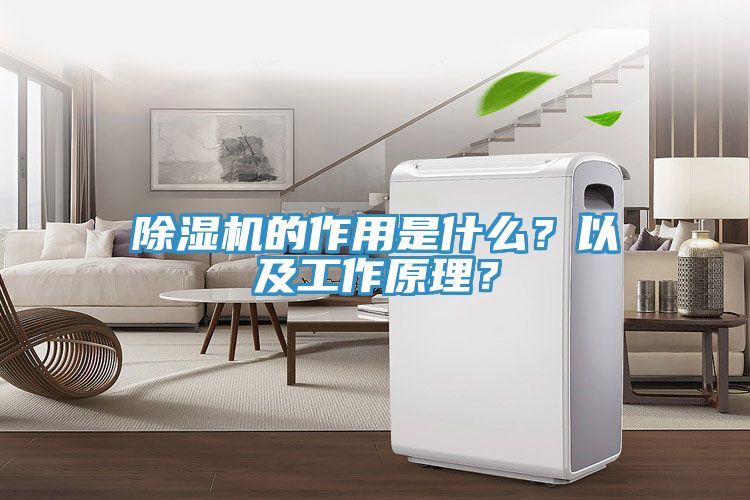 除濕機的作用是什么？以及工作原理？