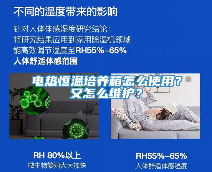 電熱恒溫培養(yǎng)箱怎么使用？又怎么維護(hù)？