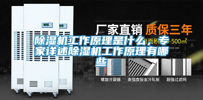 除濕機(jī)工作原理是什么，專家詳述除濕機(jī)工作原理有哪些