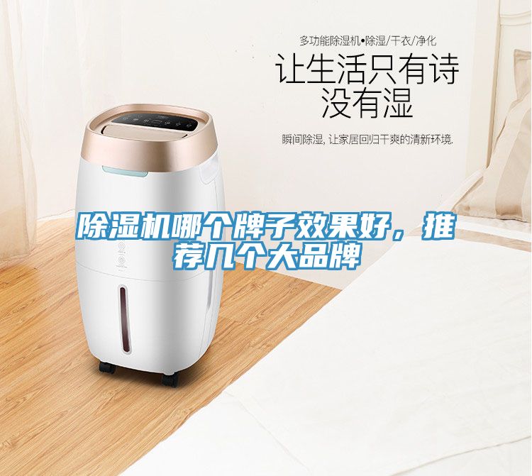 除濕機(jī)哪個(gè)牌子效果好，推薦幾個(gè)大品牌