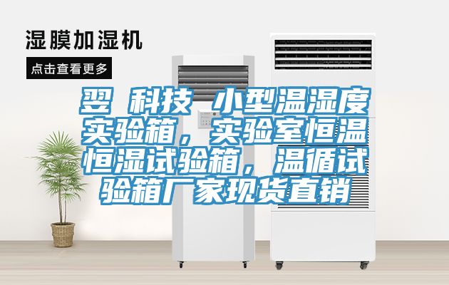翌昇科技 小型溫濕度實(shí)驗(yàn)箱，實(shí)驗(yàn)室恒溫恒濕試驗(yàn)箱，溫循試驗(yàn)箱廠家現(xiàn)貨直銷(xiāo)