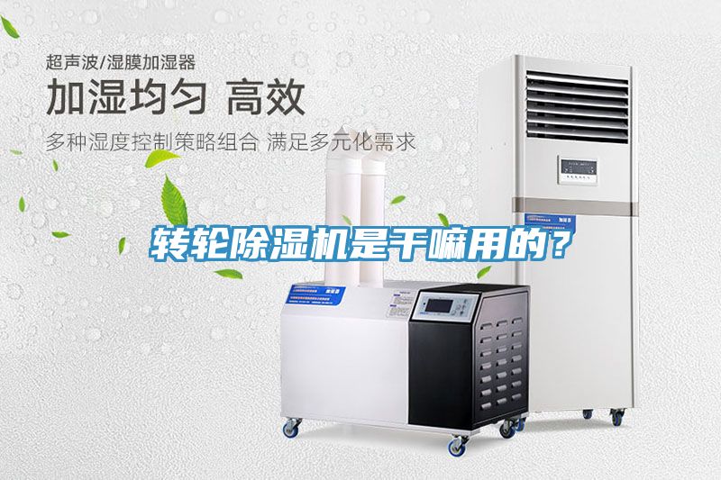 轉(zhuǎn)輪除濕機是干嘛用的？