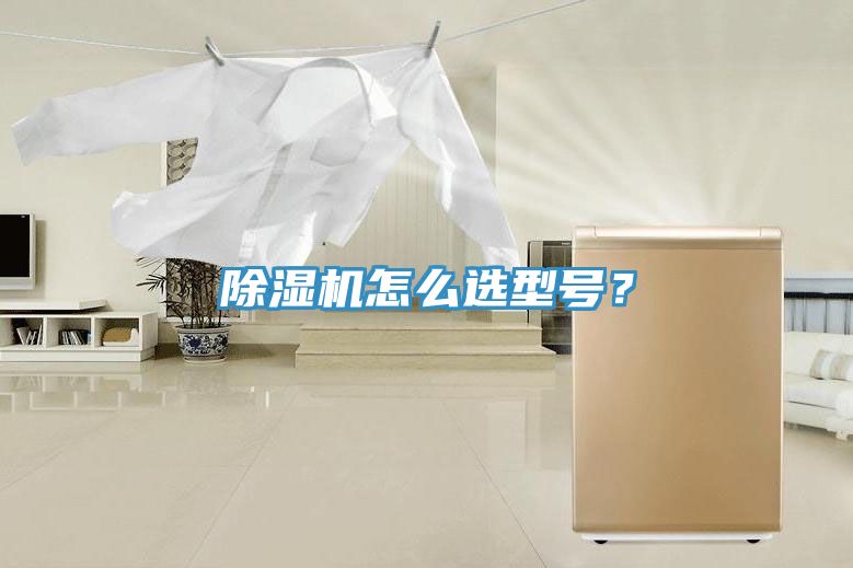 除濕機怎么選型號？