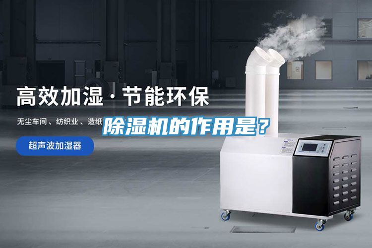 除濕機的作用是？