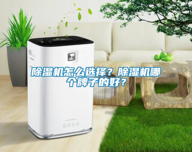 除濕機怎么選擇？除濕機哪個牌子的好？