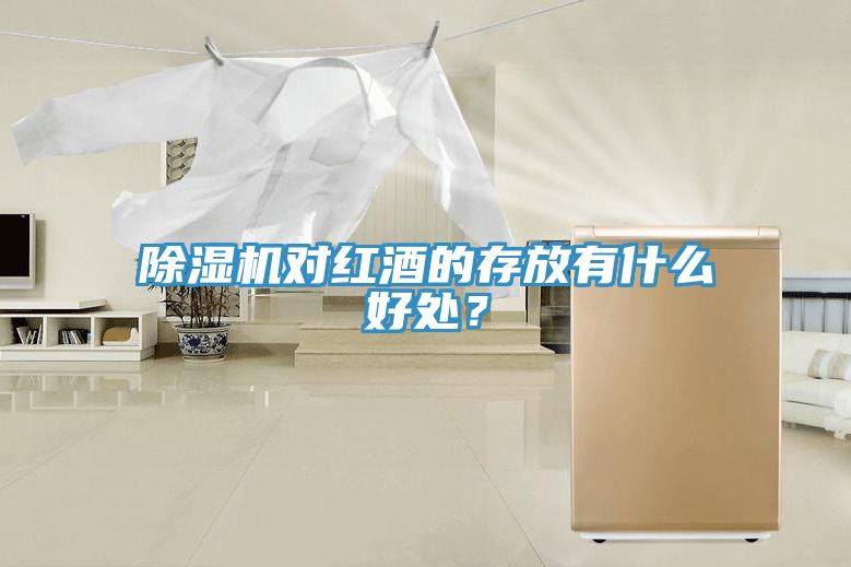 除濕機(jī)對紅酒的存放有什么好處？