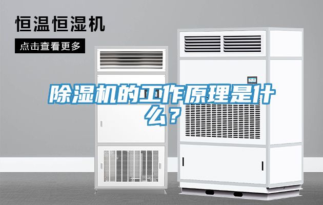 除濕機(jī)的工作原理是什么？