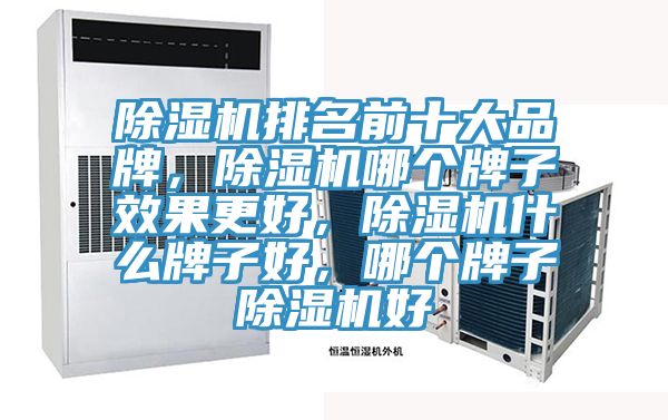 除濕機排名前十大品牌，除濕機哪個牌子效果更好，除濕機什么牌子好，哪個牌子除濕機好
