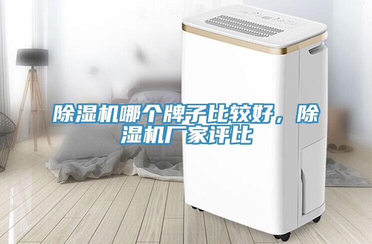 除濕機(jī)哪個(gè)牌子比較好，除濕機(jī)廠家評(píng)比
