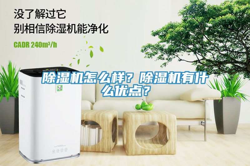 除濕機怎么樣？除濕機有什么優(yōu)點？