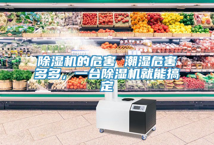 除濕機的危害 潮濕危害多多，一臺除濕機就能搞定