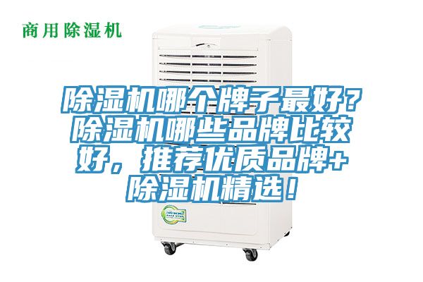 除濕機(jī)哪個(gè)牌子最好？除濕機(jī)哪些品牌比較好，推薦優(yōu)質(zhì)品牌+除濕機(jī)精選！