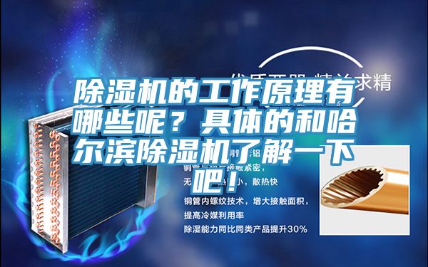 除濕機(jī)的工作原理有哪些呢？具體的和哈爾濱除濕機(jī)了解一下吧！