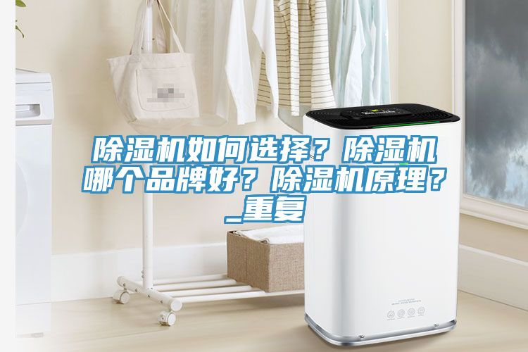 除濕機如何選擇？除濕機哪個品牌好？除濕機原理？_重復
