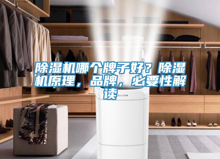 除濕機哪個牌子好？除濕機原理，品牌，必要性解讀