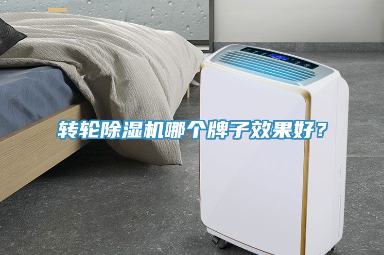 轉(zhuǎn)輪除濕機(jī)哪個牌子效果好？