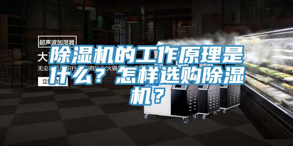 除濕機(jī)的工作原理是什么？怎樣選購除濕機(jī)？