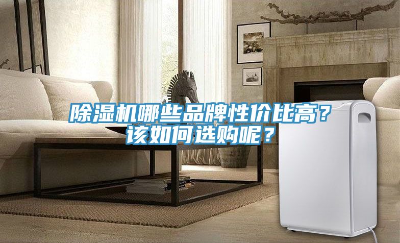 除濕機(jī)哪些品牌性?xún)r(jià)比高？該如何選購(gòu)呢？