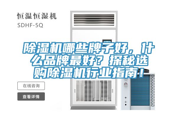 除濕機(jī)哪些牌子好，什么品牌最好？探秘選購(gòu)除濕機(jī)行業(yè)指南！