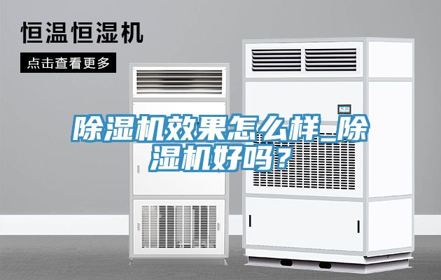 除濕機效果怎么樣_除濕機好嗎？