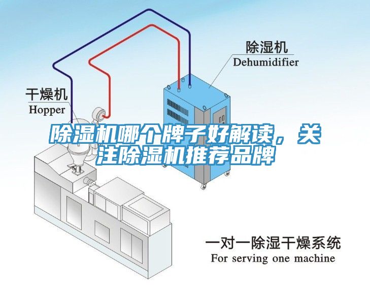 除濕機(jī)哪個(gè)牌子好解讀，關(guān)注除濕機(jī)推薦品牌