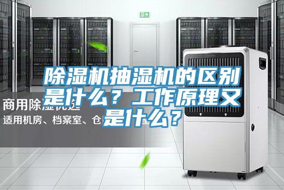 除濕機抽濕機的區(qū)別是什么？工作原理又是什么？