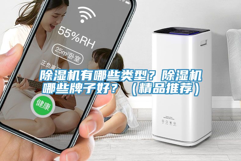 除濕機(jī)有哪些類型？除濕機(jī)哪些牌子好？（精品推薦）