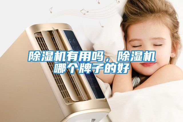 除濕機(jī)有用嗎，除濕機(jī)哪個(gè)牌子的好