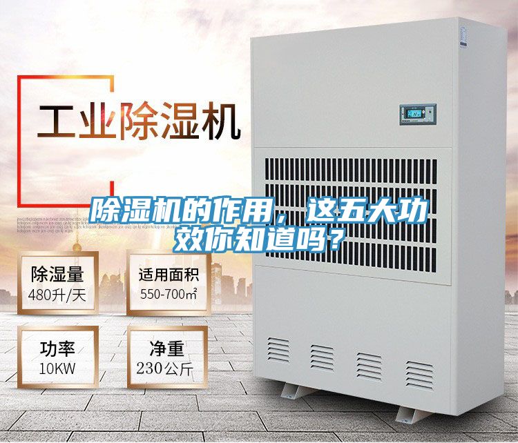 除濕機的作用，這五大功效你知道嗎？